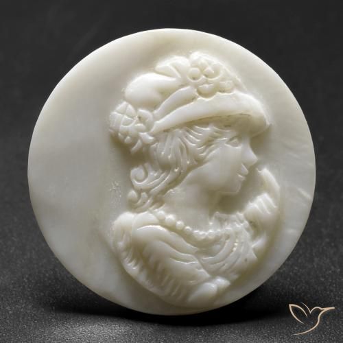 13.49ct 天然 珍珠白 珍珠母, 圆形的, 不透明