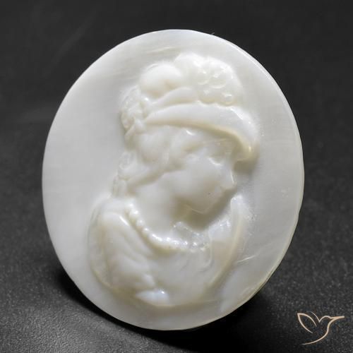 10.14ct 天然 珍珠白 珍珠母, 圆形的, 不透明