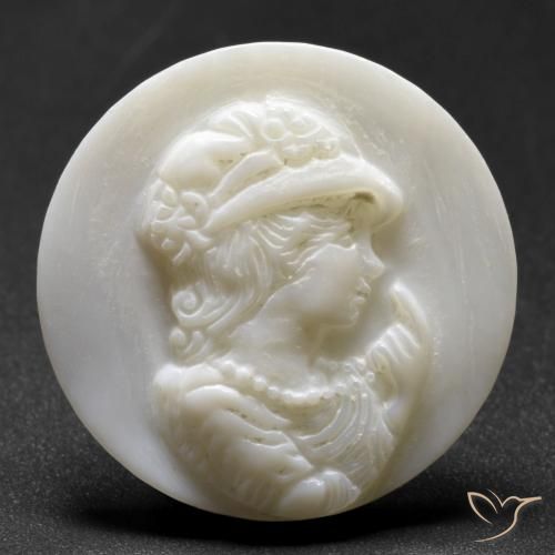 17.41ct 天然 珍珠白 珍珠母, 圆形的, 不透明