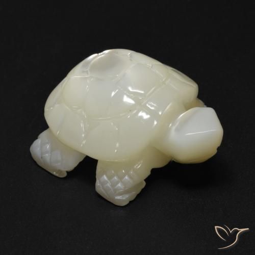 21.41ct 天然 珍珠白 珍珠母, 花式切割, 不透明