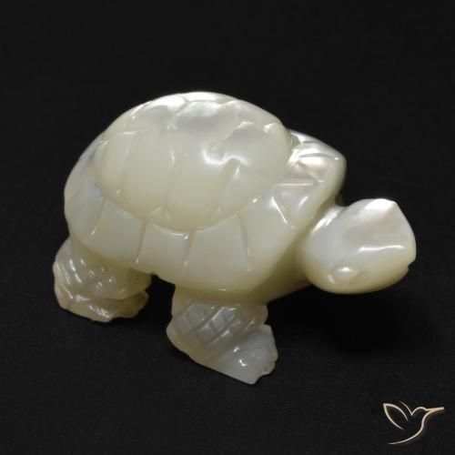 23.99ct 天然 珍珠白 珍珠母, 花式切割, 不透明
