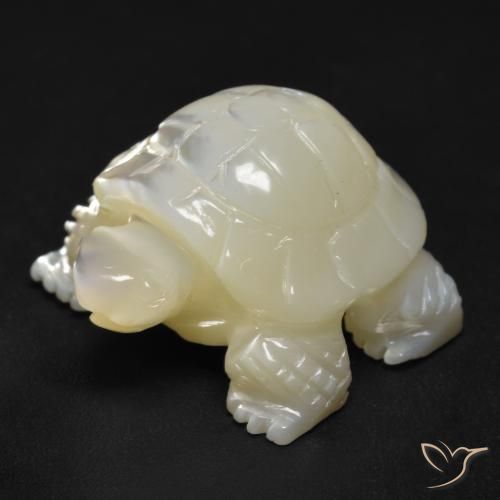 19.50ct 天然 珍珠白 珍珠母, 花式切割, 不透明