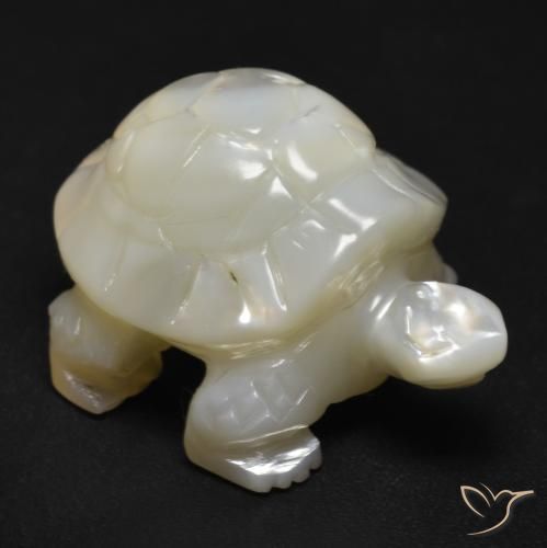 20.94ct 天然 珍珠白 珍珠母, 花式切割, 不透明