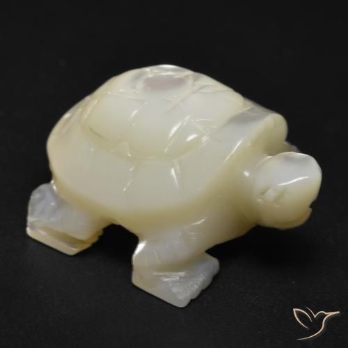 18.53ct 天然 珍珠白 珍珠母, 花式切割, 不透明