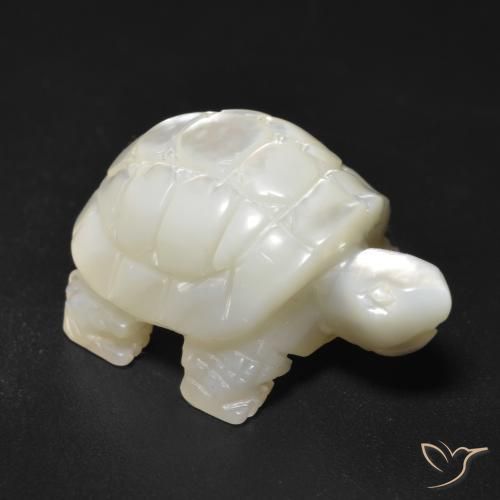 23.34ct 天然 珍珠白 珍珠母, 花式切割, 不透明