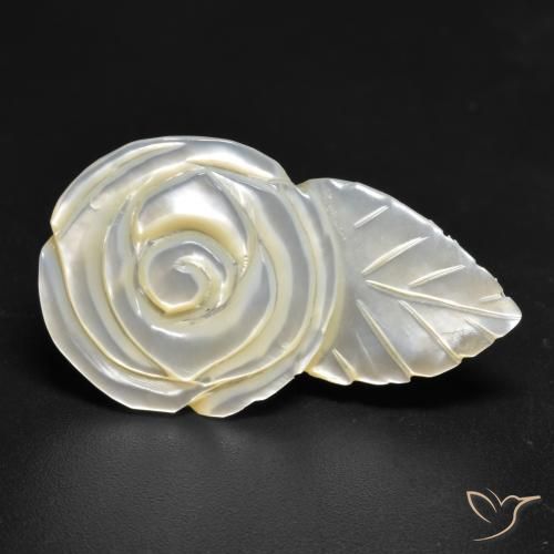 17.26ct 天然 珍珠白 珍珠母, 花形切割, 不透明