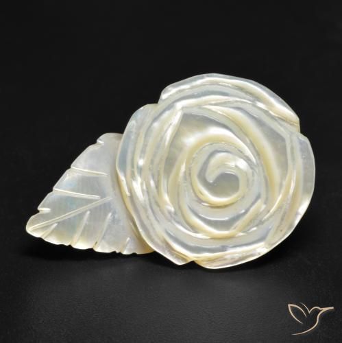 21.17ct 天然 珍珠白 珍珠母, 花形切割, 不透明