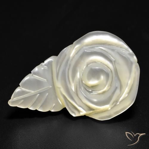 15.19ct 天然 珍珠白 珍珠母, 花形切割, 不透明