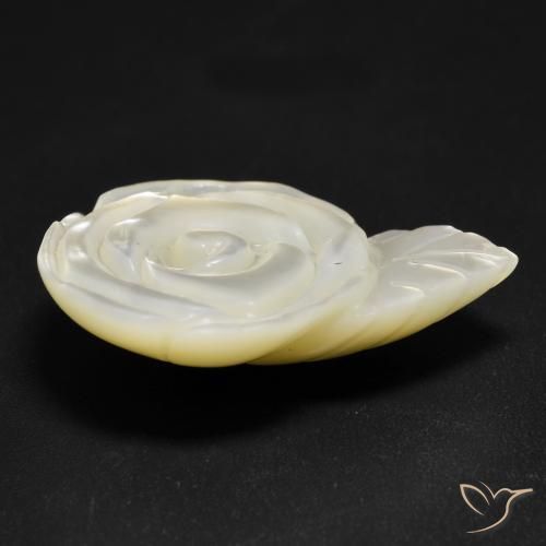 15.15克拉天然珍珠母，花形切割，不透明