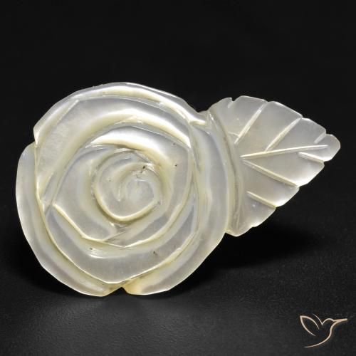 14.48ct 天然 珍珠白 珍珠母, 花形切割, 不透明