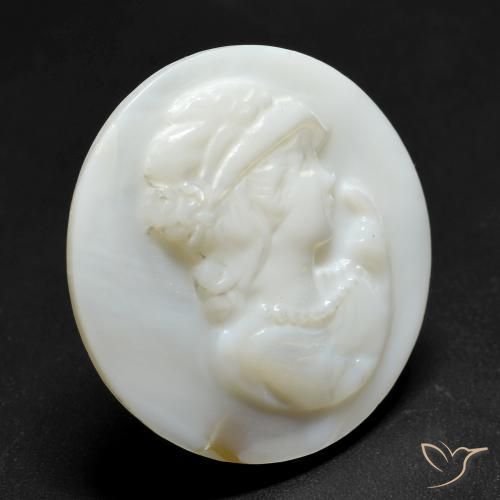 13.70克拉天然珍珠母，圆形的，不透明