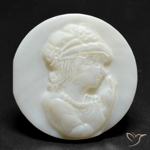 14.15ct 天然 珍珠白 珍珠母, 圆形的, 不透明