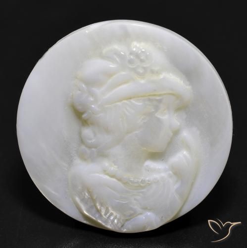 16.81ct 天然 珍珠白 珍珠母, 圆形的, 不透明