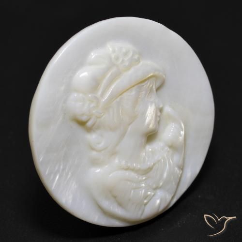 13.76克拉天然珍珠母，圆形切割，不透明