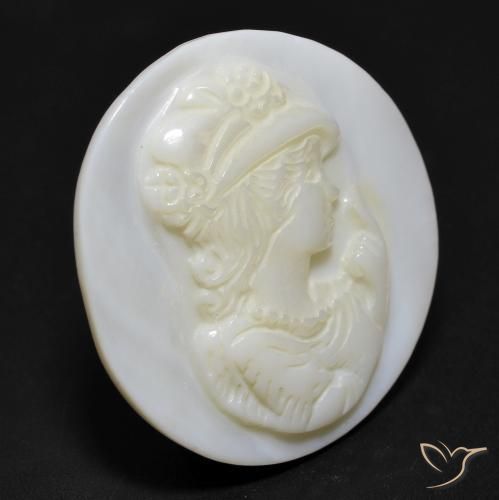 12.98克拉天然珍珠母，圆形的，不透明