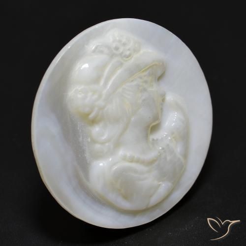 12.25克拉天然珍珠母，圆形的，不透明