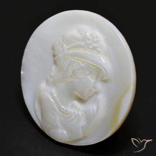 15.28克拉天然珍珠母，圆形的，不透明