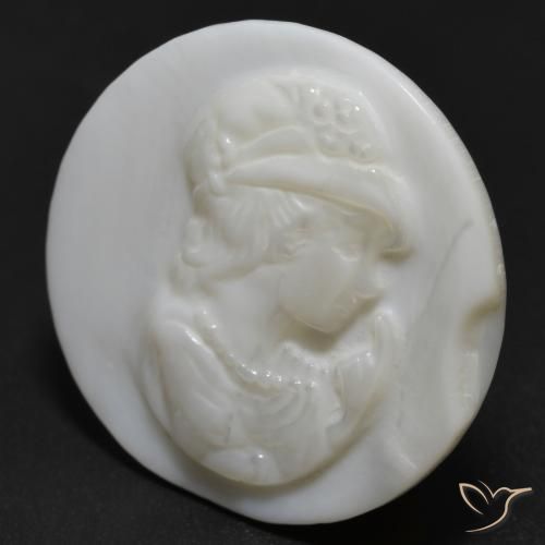 13.54克拉天然珍珠母，圆形的，不透明