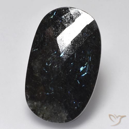 24.26ct 天然 黑色带蓝色闪光 努米特, 椭圆形, 不透明