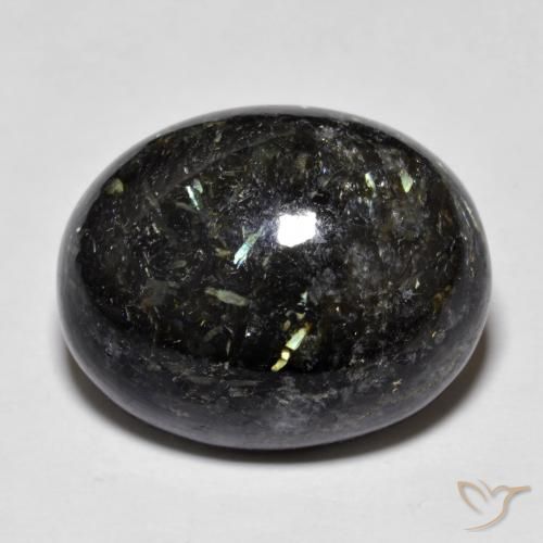 22.36ct 天然 黑色带蓝色闪光 努米特, 椭圆形, 不透明