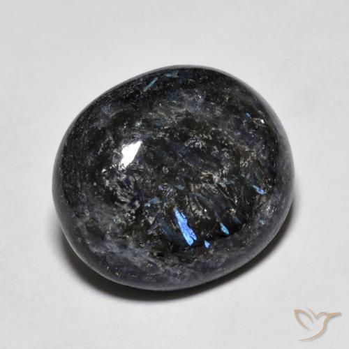 10.98ct 天然 黑色带蓝色闪光 Nuummite, 椭圆形, 不透明