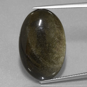 15.30克拉天然黄金色黑曜石，椭圆形切割，23.5×15.6毫米，不透明