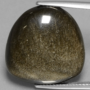 17.56克拉天然金色黑曜石，异形，19.9×19.7毫米，不透明