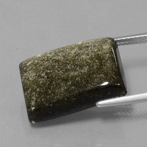 13.86克拉天然黑曜石，狭长方形，不透明