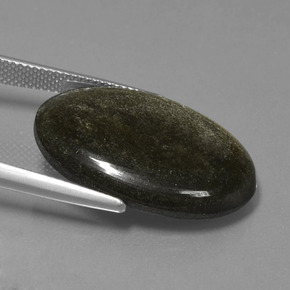 16.64克拉天然黑曜石，椭圆形切割，不透明