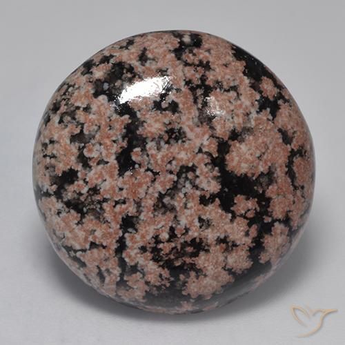 20.50ct 天然 彩色 黑曜石, 圆形的, 不透明