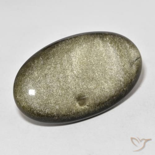 20.73ct 天然 黑色带金色光泽 黑曜石, 椭圆形, 不透明