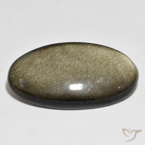 21.84克拉天然黑曜石，椭圆形切割，不透明