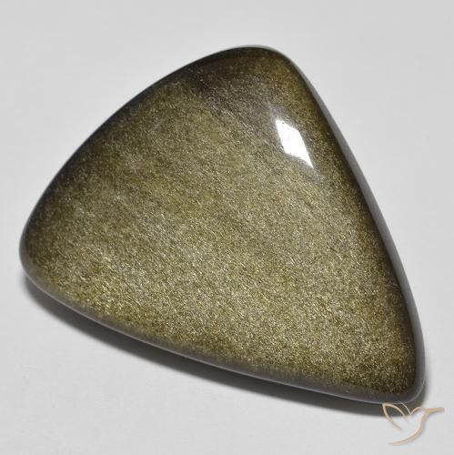 24.46ct 天然 黑色带金色光泽 黑曜石, 花式切割, 不透明