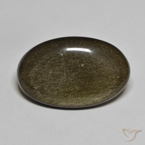 13.63ct 天然 黑色带金色光泽 黑曜石, 椭圆形, 不透明