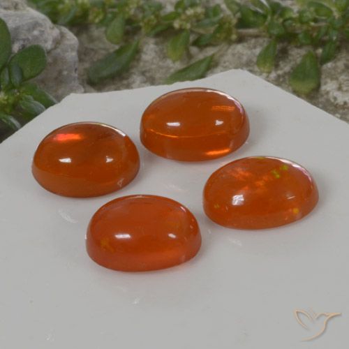 3.82ctw 天然 火橙 蛋白石, 椭圆形, 透明