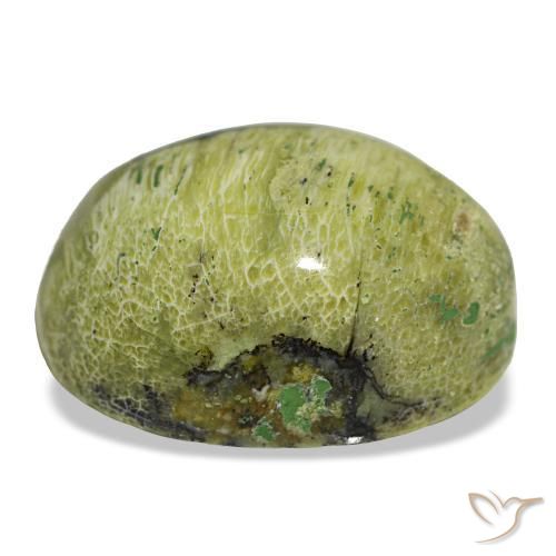 8.06克拉天然绿色欧泊，椭圆形切割，15.8×12.2毫米，不透明