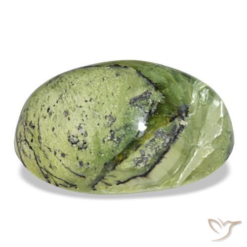 15.89克拉天然绿色欧泊，椭圆形切割，20×15.7毫米，不透明