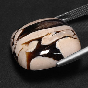 25.88克拉天然花生木，垫形剪裁，不透明