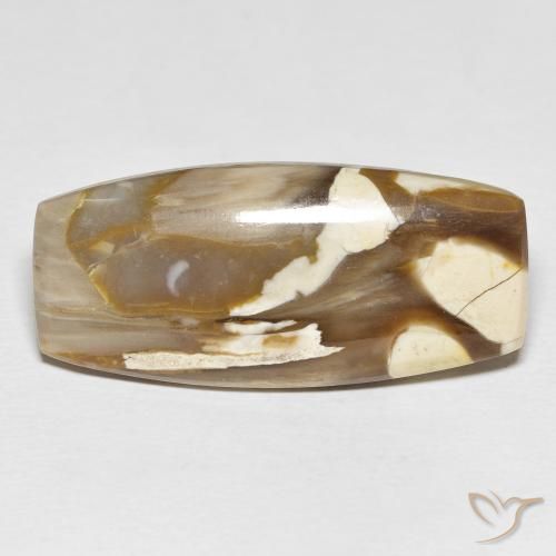 31.21ct 天然 彩色 花生木, 软垫, 不透明