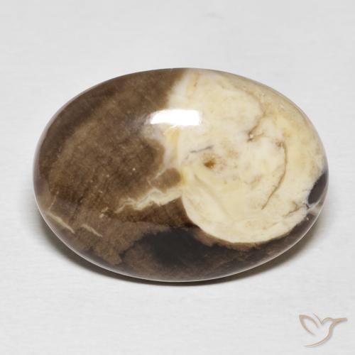 20.56ct 天然 彩色 花生木, 椭圆形, 不透明
