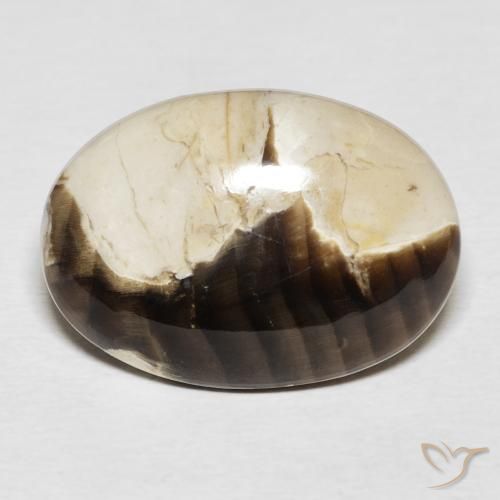15.62ct 天然 彩色 花生木, 椭圆形, 不透明