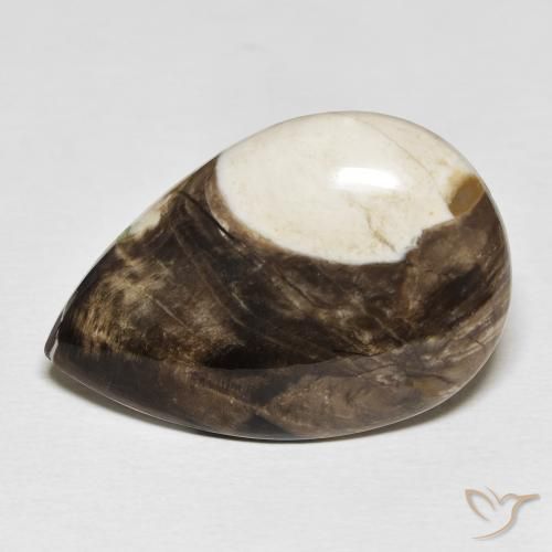25.19ct 天然 彩色 花生木, 梨形, 不透明
