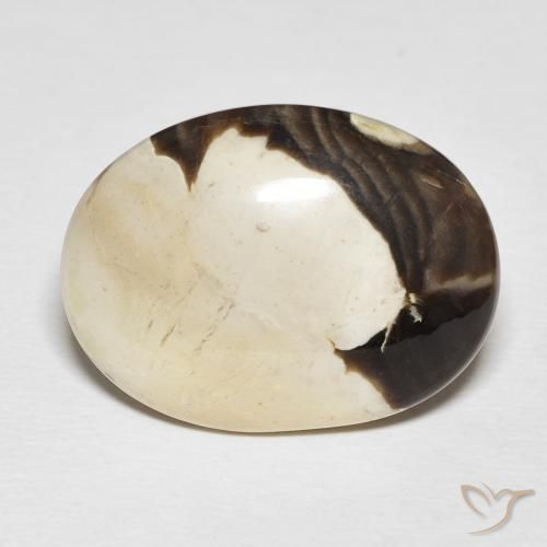 19.54ct 天然 彩色 花生木, 椭圆形, 不透明
