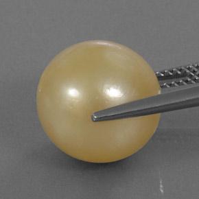 13.25克拉天然珍珠，球形，不透明