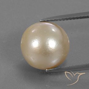 12.24ct 天然 浅金色 珍珠, 球形, 不透明