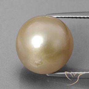 13.01克拉天然珍珠，球形，不透明
