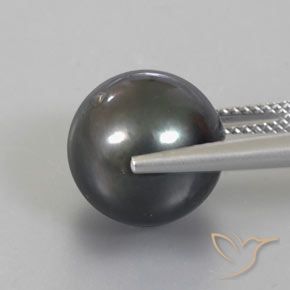 13.49克拉天然珍珠，球形，不透明