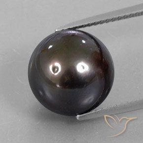 13.30ct 天然 棕色 珍珠, 球形, 不透明