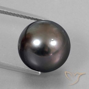 12.76ct 天然 棕色 珍珠, 球形, 不透明