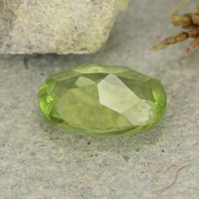 1.20克拉天然绿色橄榄石，椭圆形切割，8.1×6.1毫米，VS